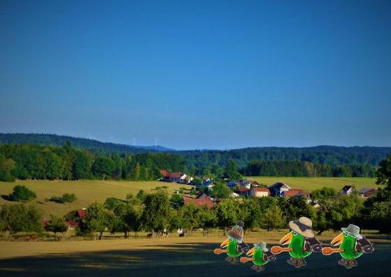 Gruenvogels Landgasthof Zum Gruenen Baum Oberzent Exterior foto
